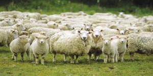 come guadagnare con i mercati finanziari