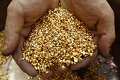 crollo-oro-liberta-finanziaria