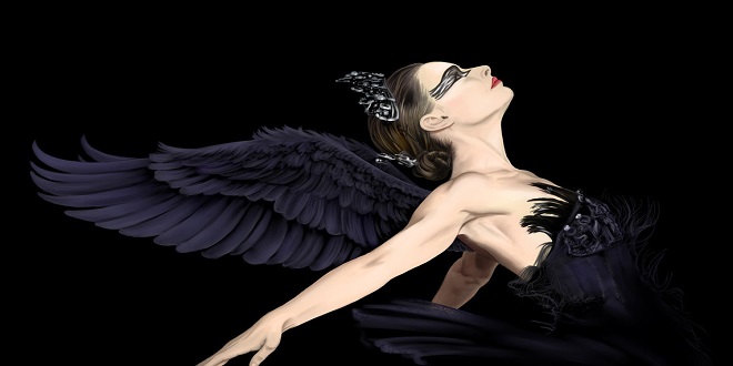 cigno nero